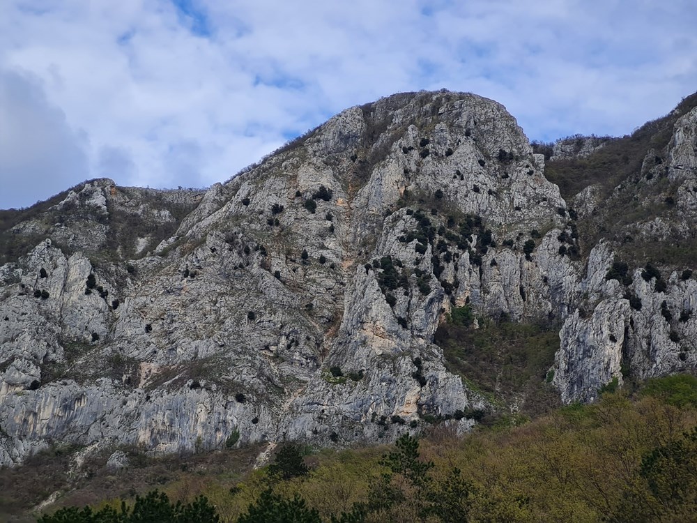 I na 300 metara strme stijene Šikovca  (Snimio Enes Seferagić Enki)